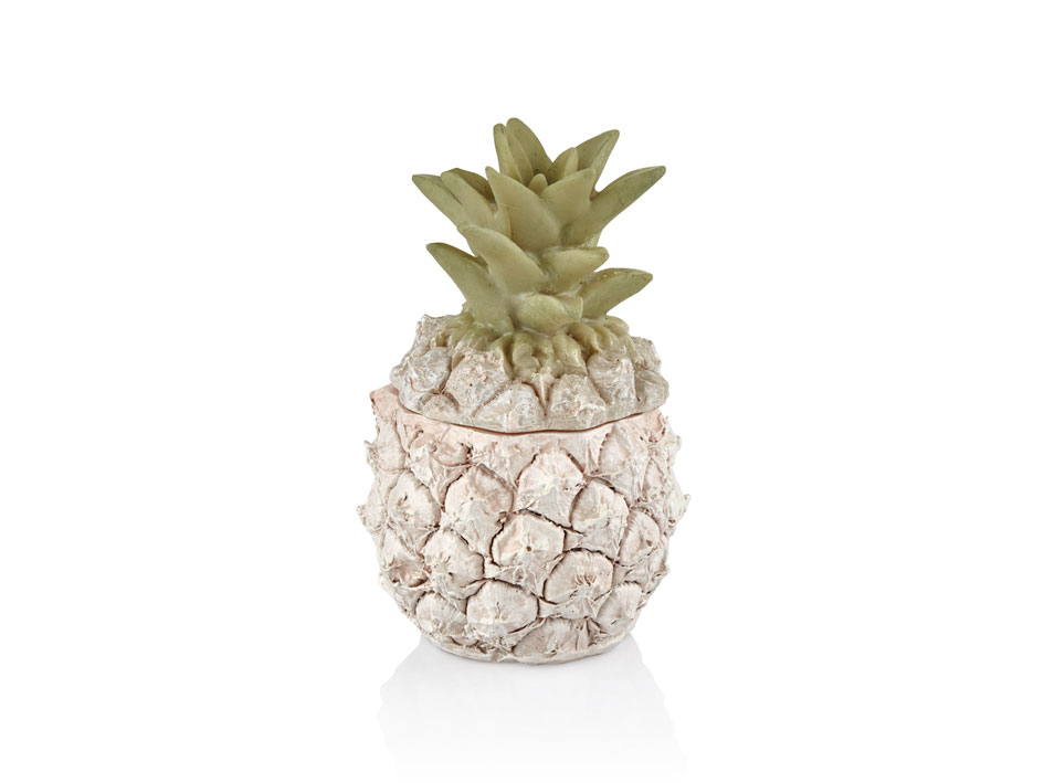 PEMBE BUYUK ANANAS (36)